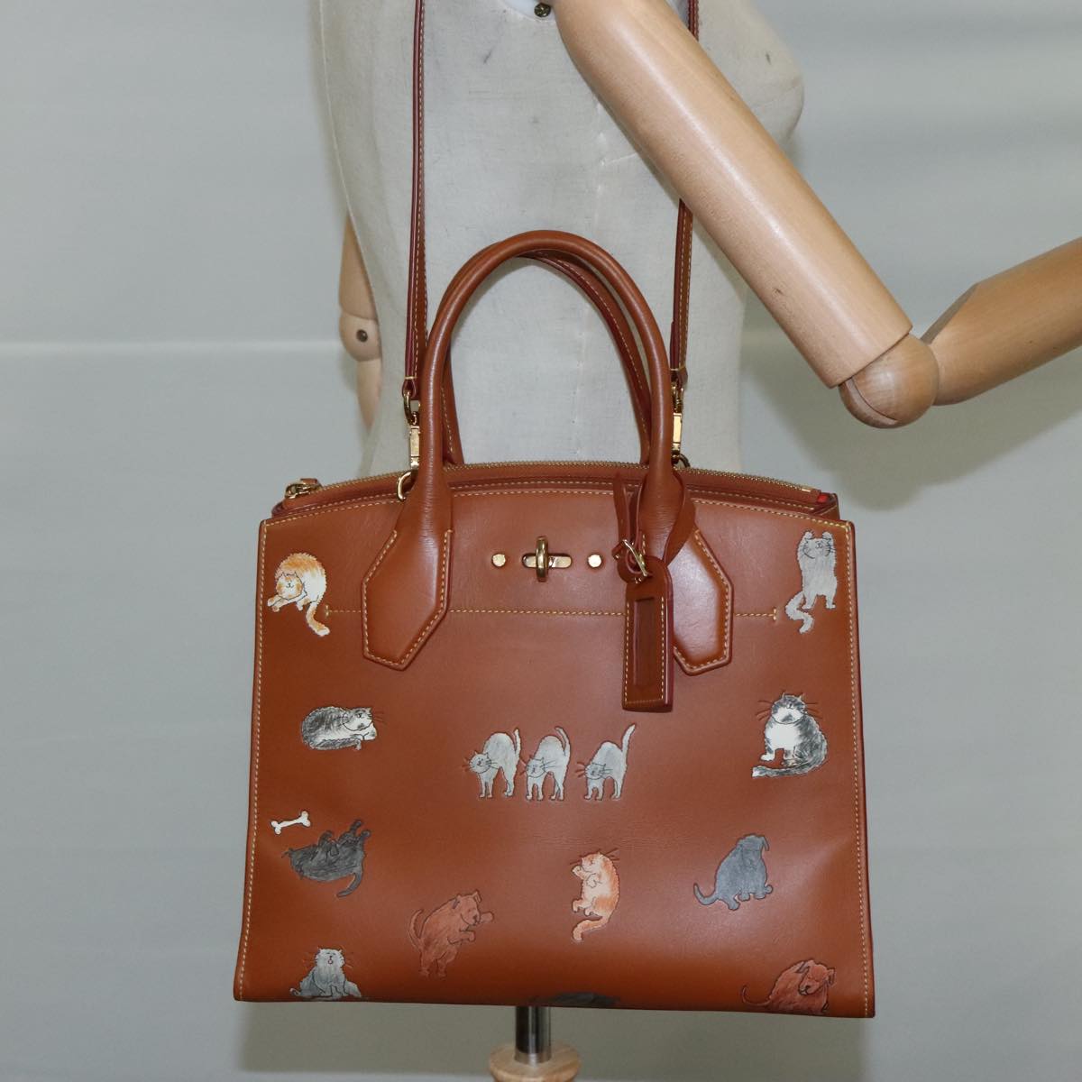 LOUIS VUITTON Catgram City Steamer MM Bag Leather 2way Brown M52969 Auth 104191SM