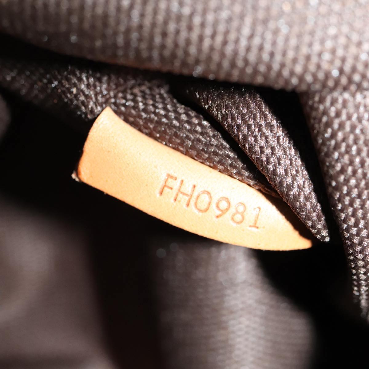 LOUIS VUITTON Monogram Garment Cover LV Auth 105551