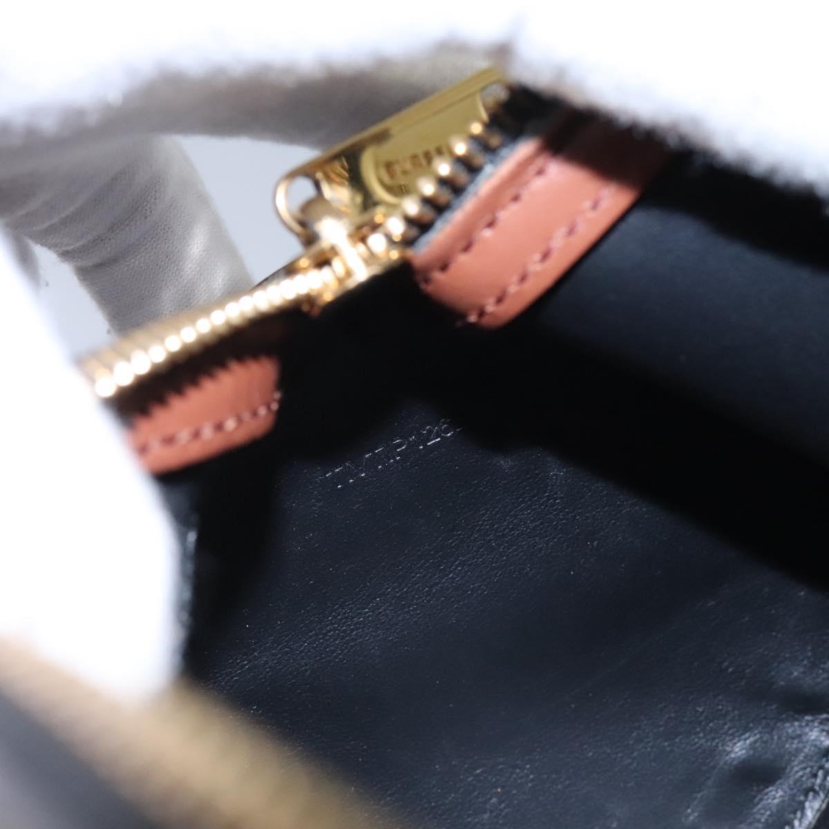 BURBERRY Monogram Stripe Shoulder Bag PVC Leather Brown Auth 113137V