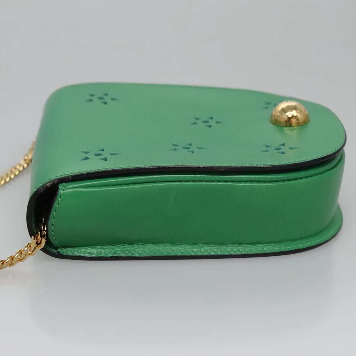 CELINE Shoulder Bag Leather Green Gold Auth 114967V