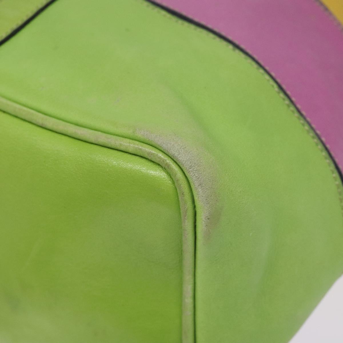 CELINE Shoulder Bag Leather Green Auth 115918