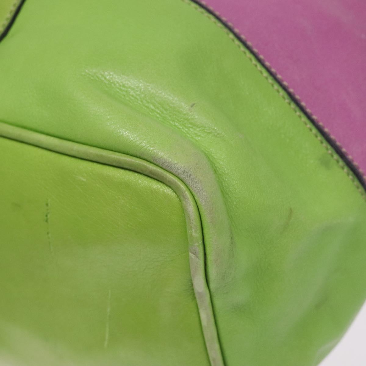 CELINE Shoulder Bag Leather Green Auth 115918