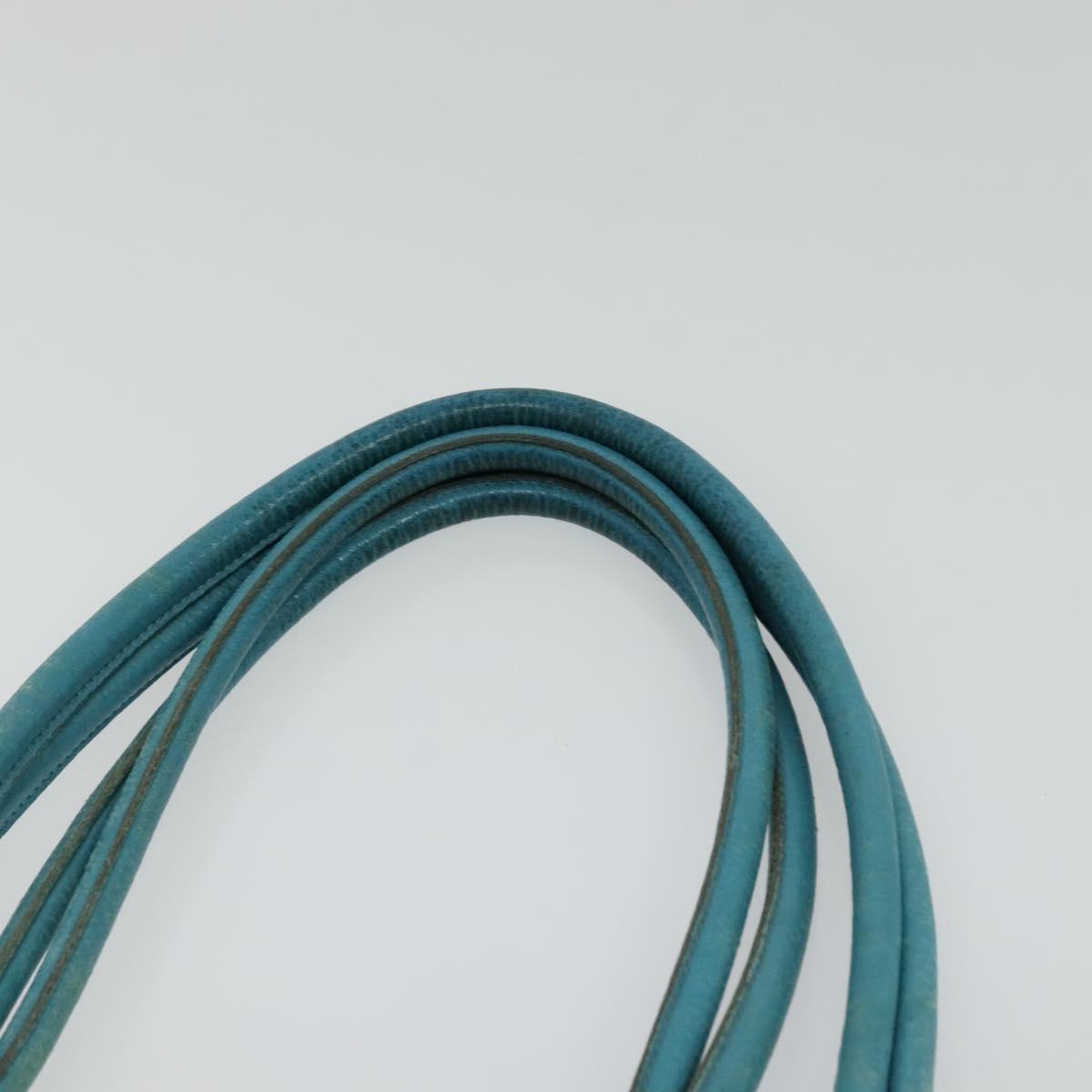 Christian Dior Canage Tote Bag Coated Canvas Blue Silver Auth 117361