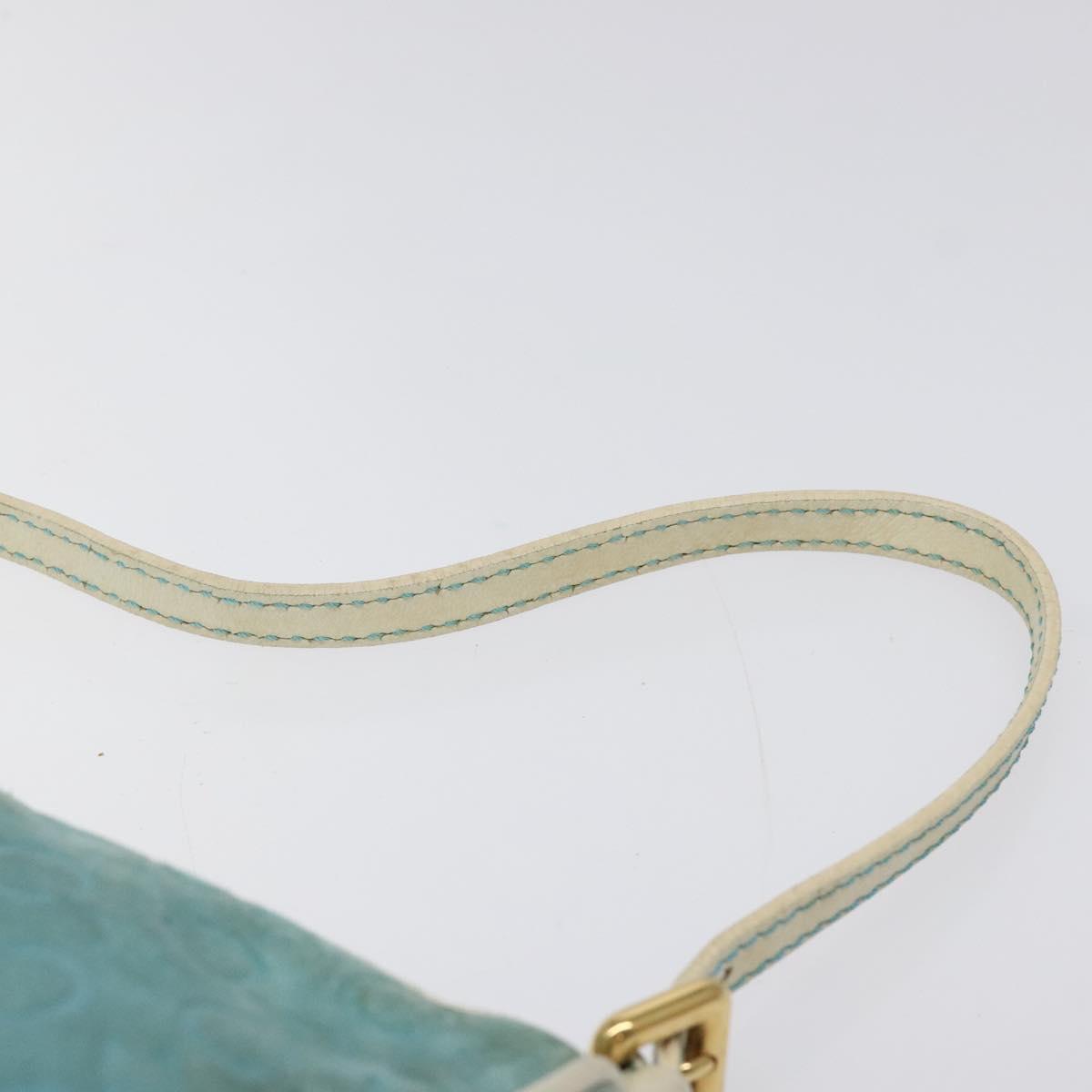 CELINE C Macadam Canvas Accessory Pouch Suede Light Blue Gold Auth 118180