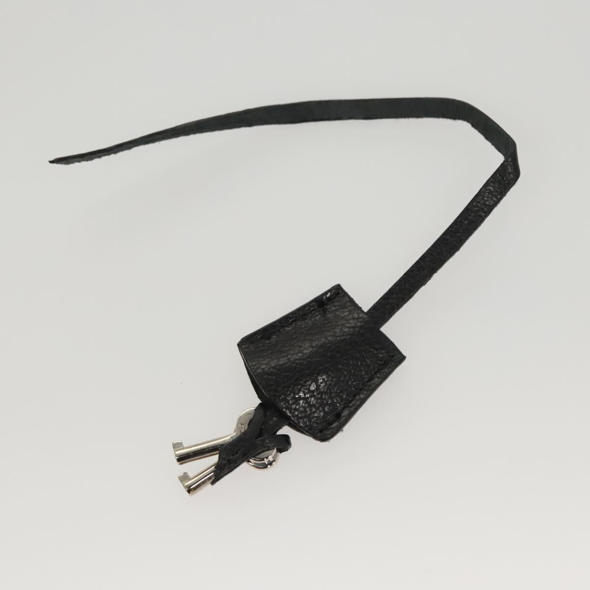 Salvatore Ferragamo Clutch Bag Leather Black Silver Auth 118801