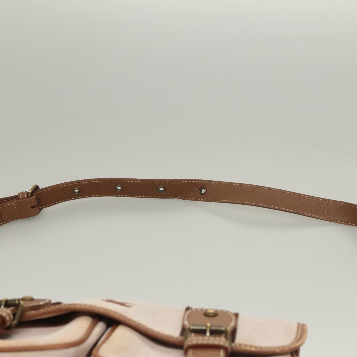 BURBERRY Blue Label Shoulder Bag Canvas Pink Auth 119316