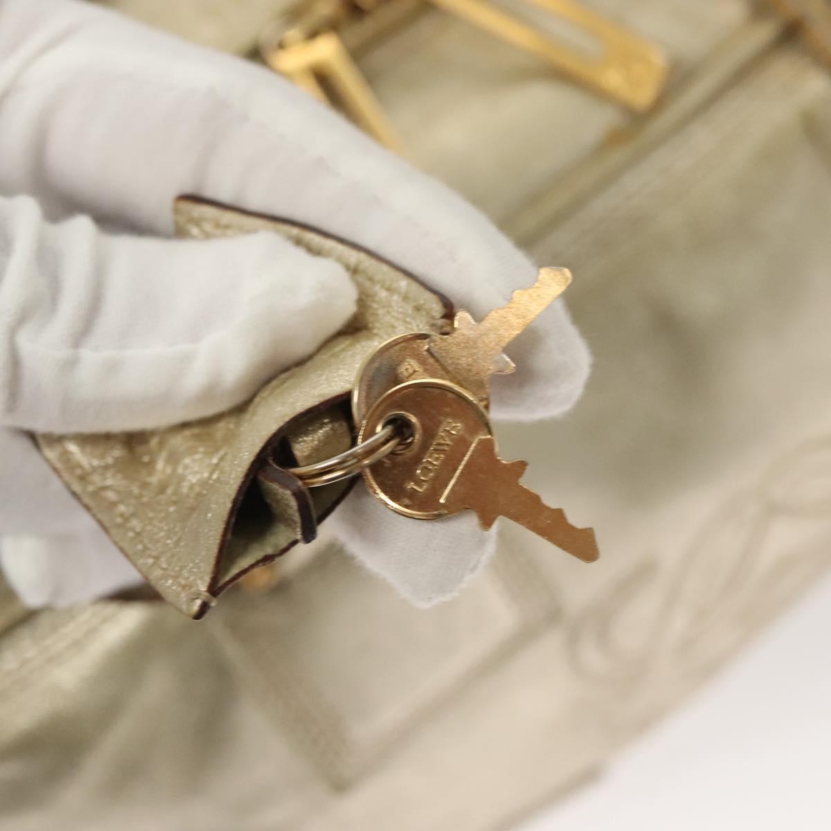 LOEWE Anagram Amazona 28 Hand Bag Leather Gold Auth 119534