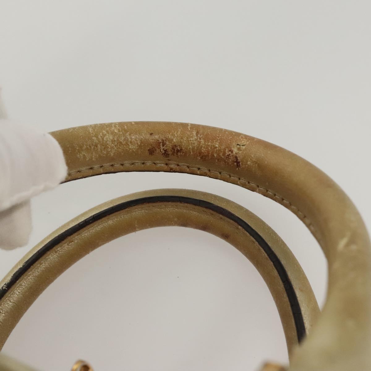 LOEWE Anagram Amazona 28 Hand Bag Leather Gold Auth 119534