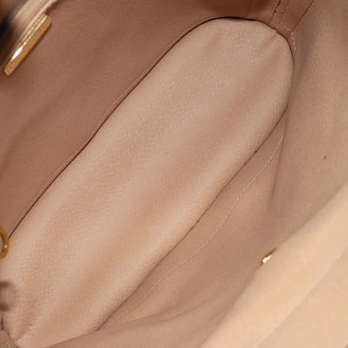 Christian Dior Trotter Canvas Shoulder Bag PVC Black Gold Auth 120408