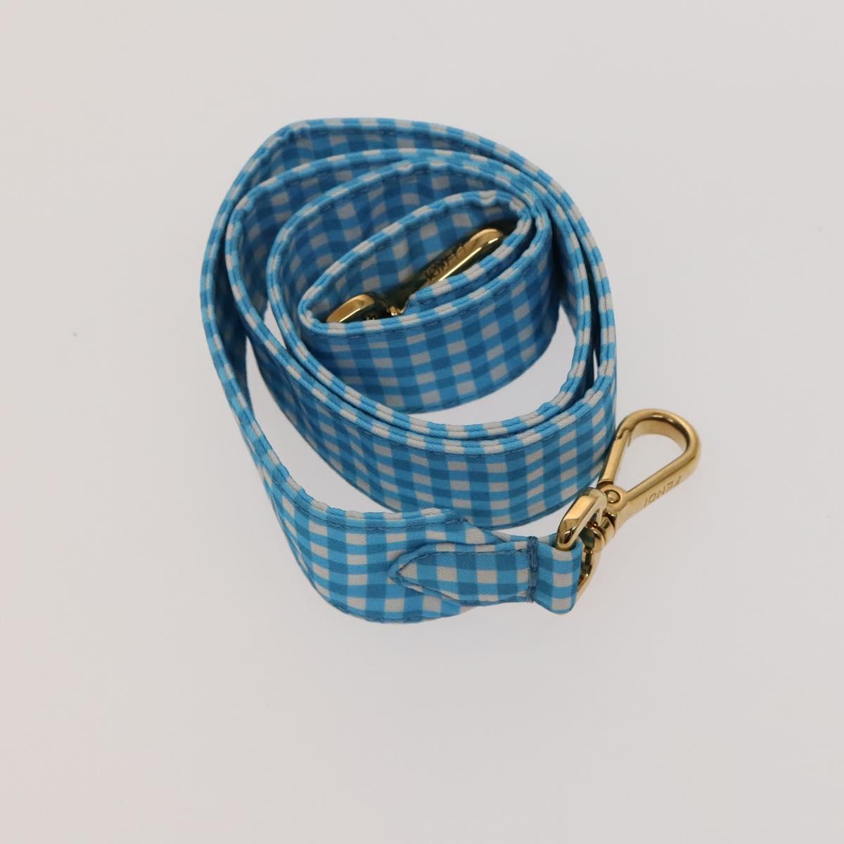 FENDI Mamma Baguette Shoulder Bag Nylon 2way Light Blue Gold Auth 120903