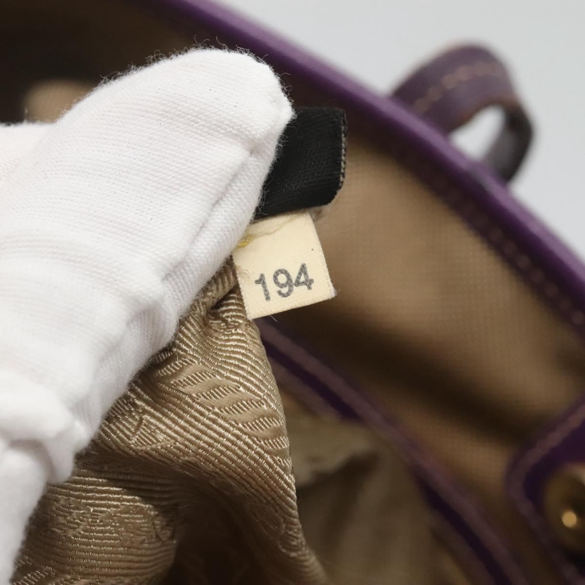 PRADA Hand Bag Canvas Khaki Auth 121093