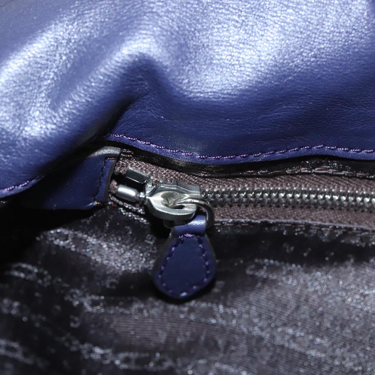 CELINE Shoulder Bag Leather Purple Silver Auth 121477