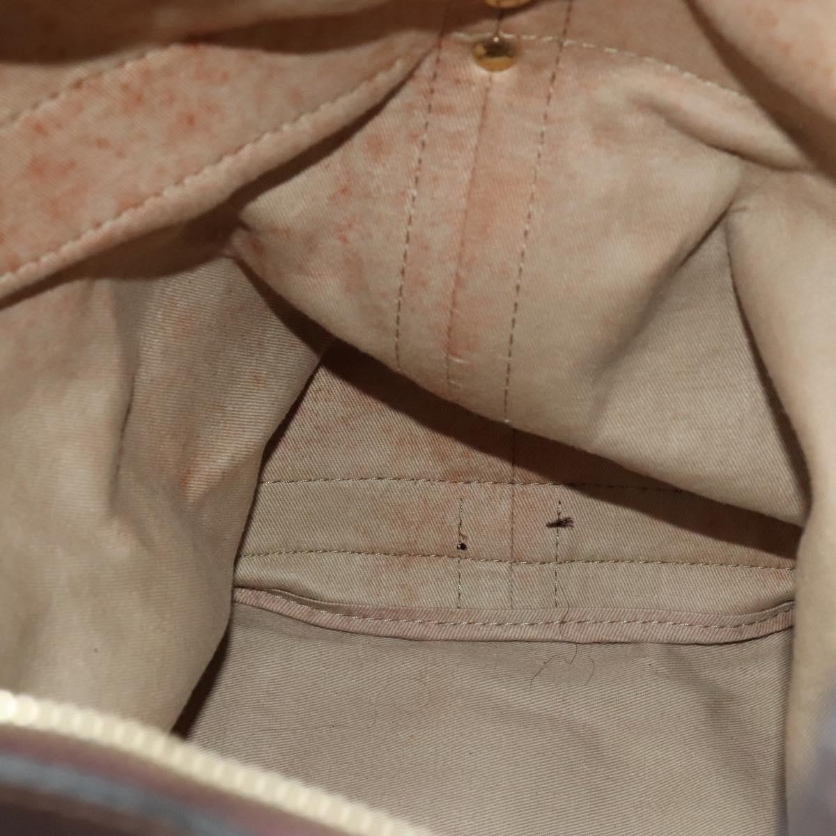 Christian Dior Trotter Canvas Shoulder Bag Brown Gold Auth 123655