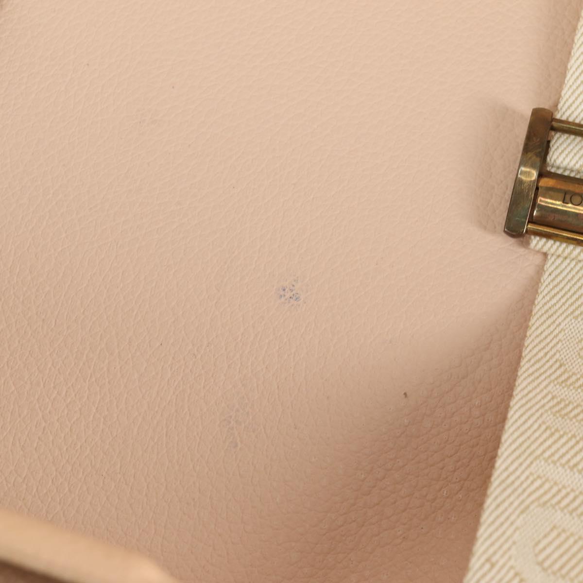 LOUIS VUITTON Damier Ebene Cotoville 45 Trunk N21341 LV Auth 128144V