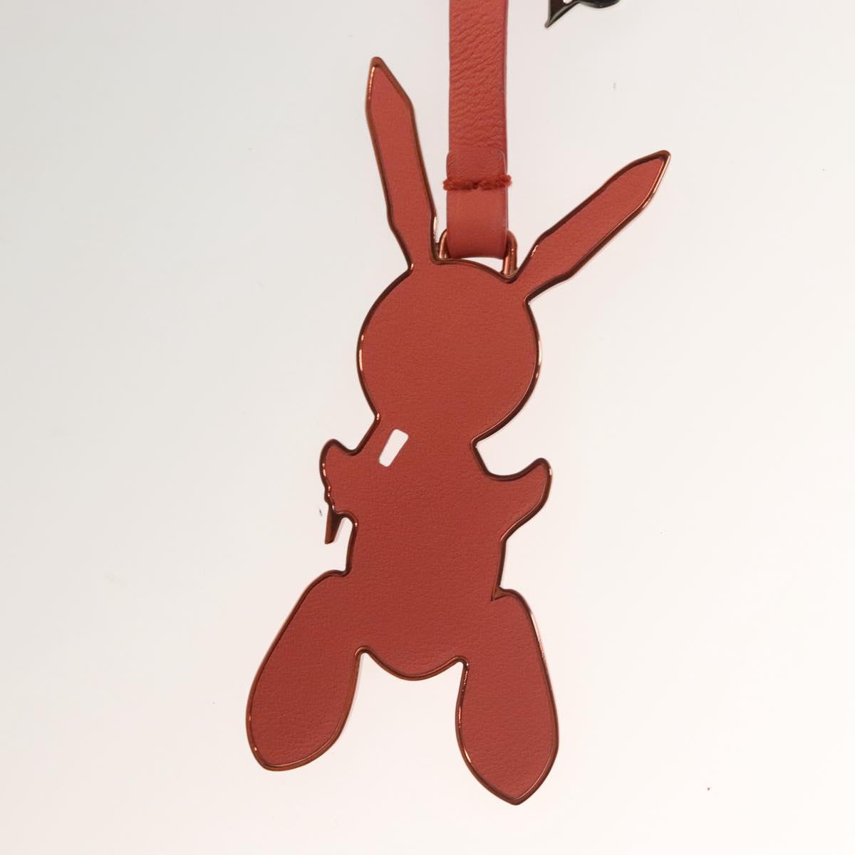 LOUIS VUITTON Masters Collection Da Vinci Jeff Koons Rabbit M62733 Auth 129812