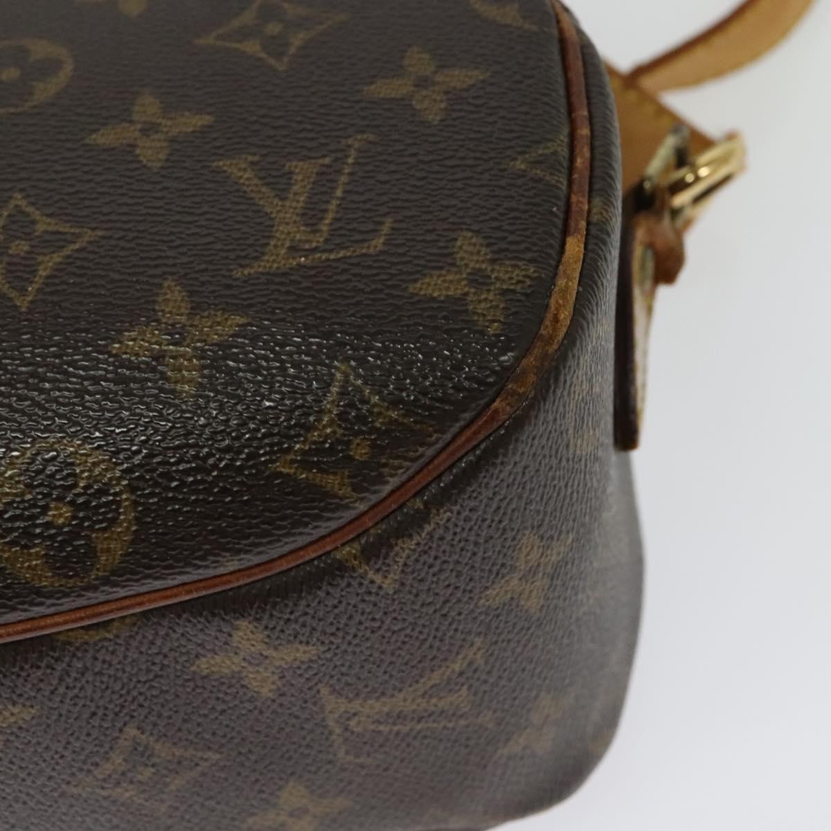 LOUIS VUITTON Monogram Blois Shoulder Bag M51221 LV Auth 130765