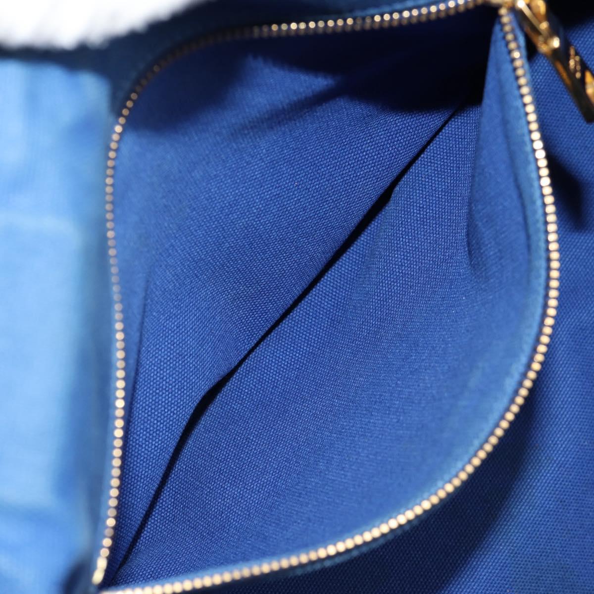 PRADA Canapa GM Hand Bag Canvas Blue Gold Auth 132724