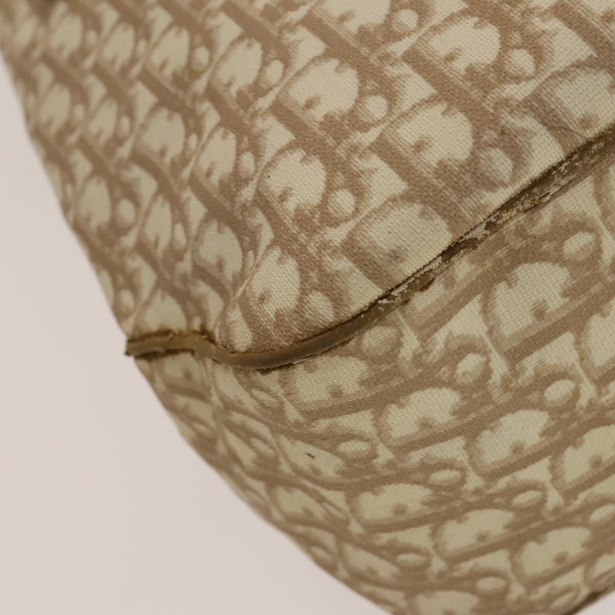 Christian Dior Trotter Canvas Romantic Chain Bag PVC Beige Silver Auth 132755