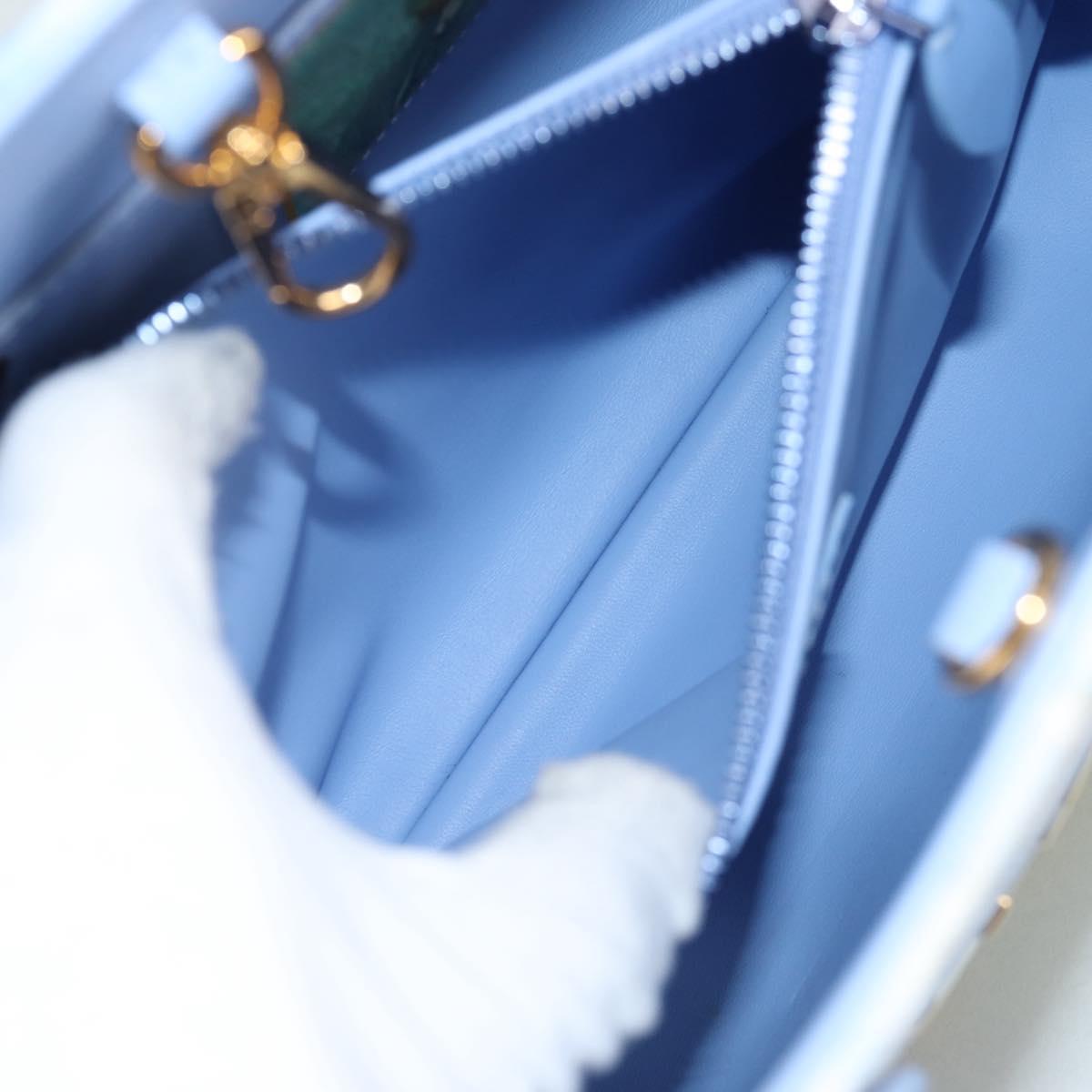 LOUIS VUITTON Masters Collection Van Gogh Montaigne MM Bag M43378 Auth 132959M