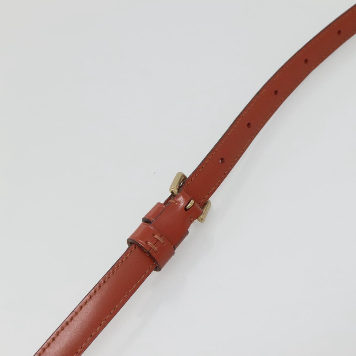 LOUIS VUITTON Epi Saint Cloud PM Shoulder Bag Brown M52213 LV Auth 134622