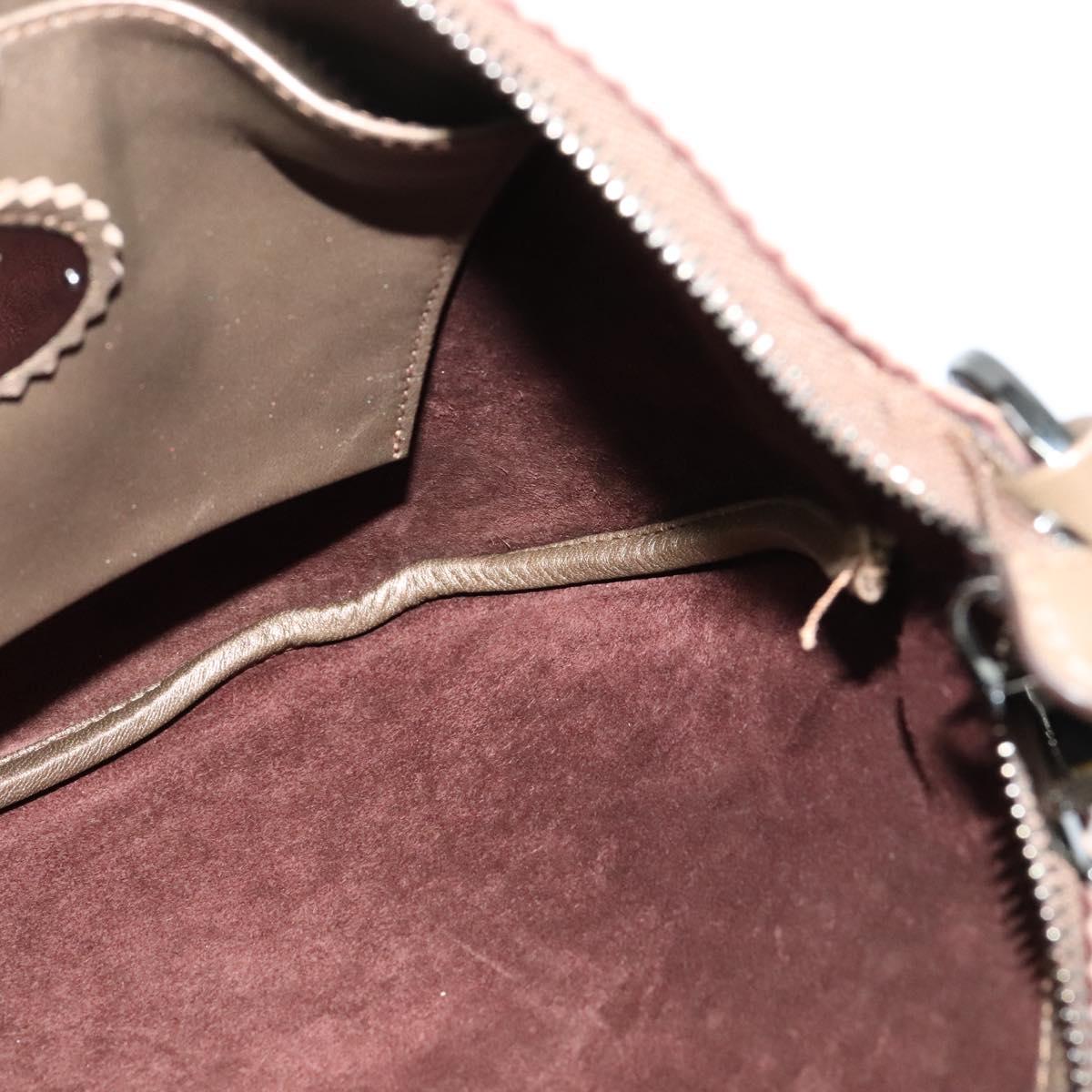 LOEWE Shoulder Bag Leather Metallic brown Auth 135002