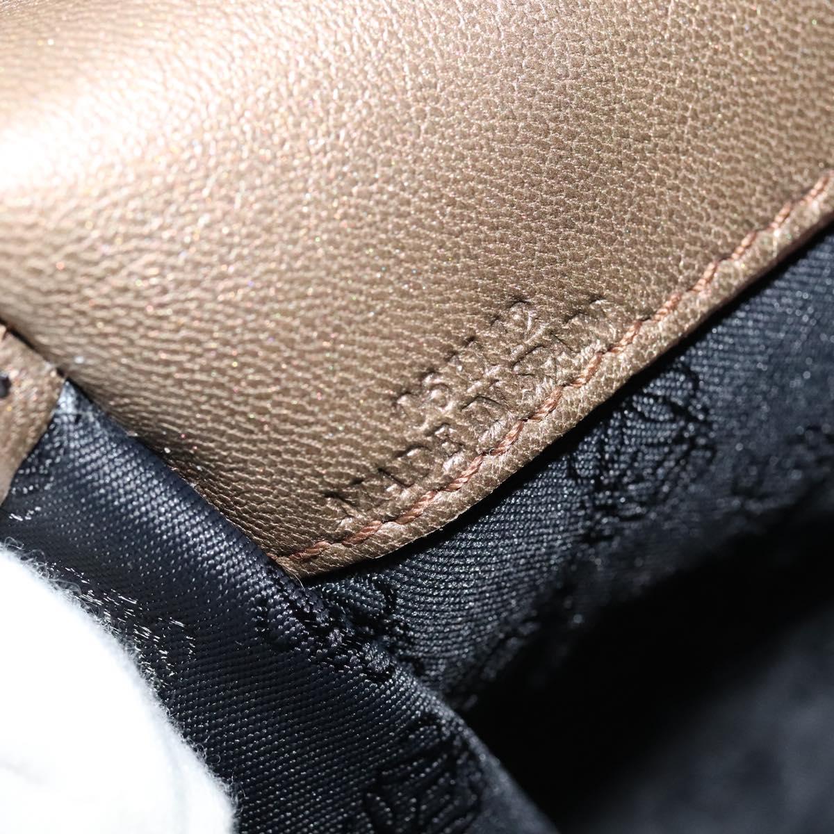 LOEWE Shoulder Bag Leather Metallic brown Auth 135002