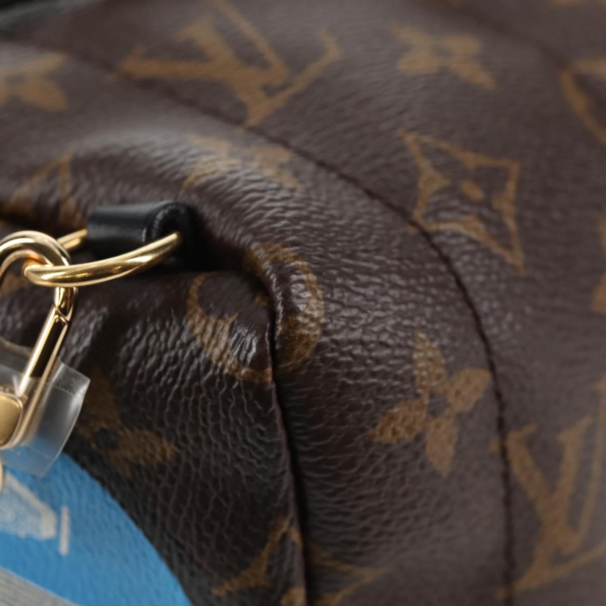 LOUIS VUITTON Monogram World Tour Palm Springs Shoulder Bag M42971 Auth 135119SAM
