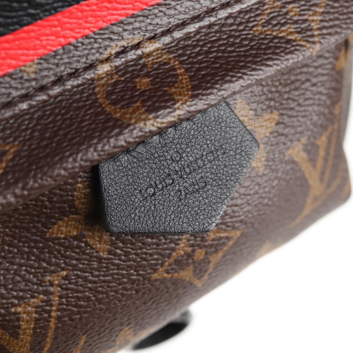 LOUIS VUITTON Monogram World Tour Palm Springs Shoulder Bag M42971 Auth 135119SAM