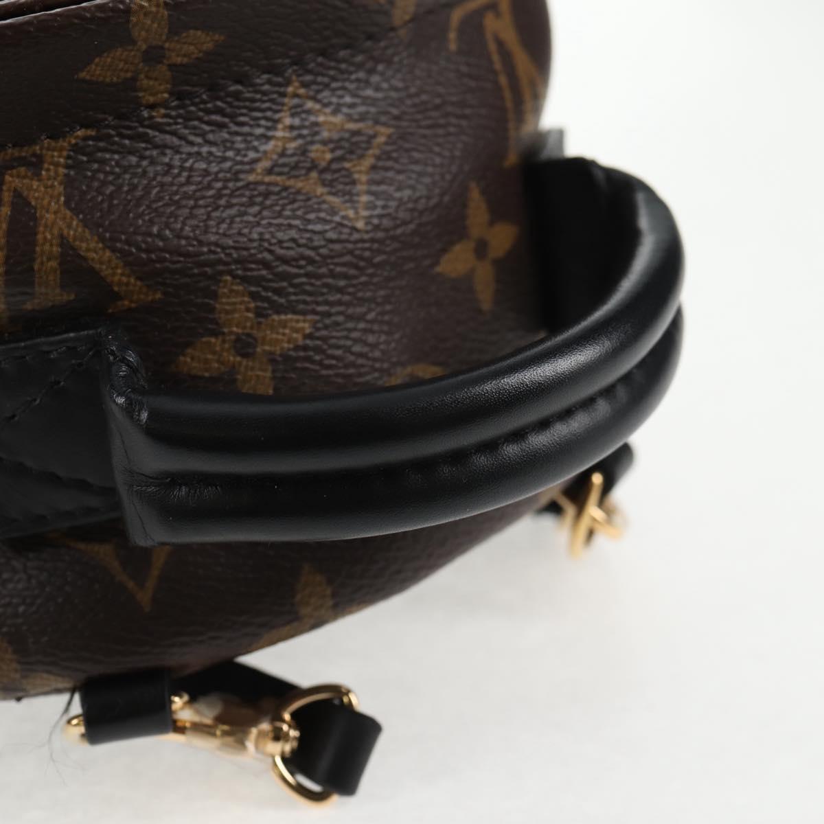 LOUIS VUITTON Monogram World Tour Palm Springs Shoulder Bag M42971 Auth 135119SAM