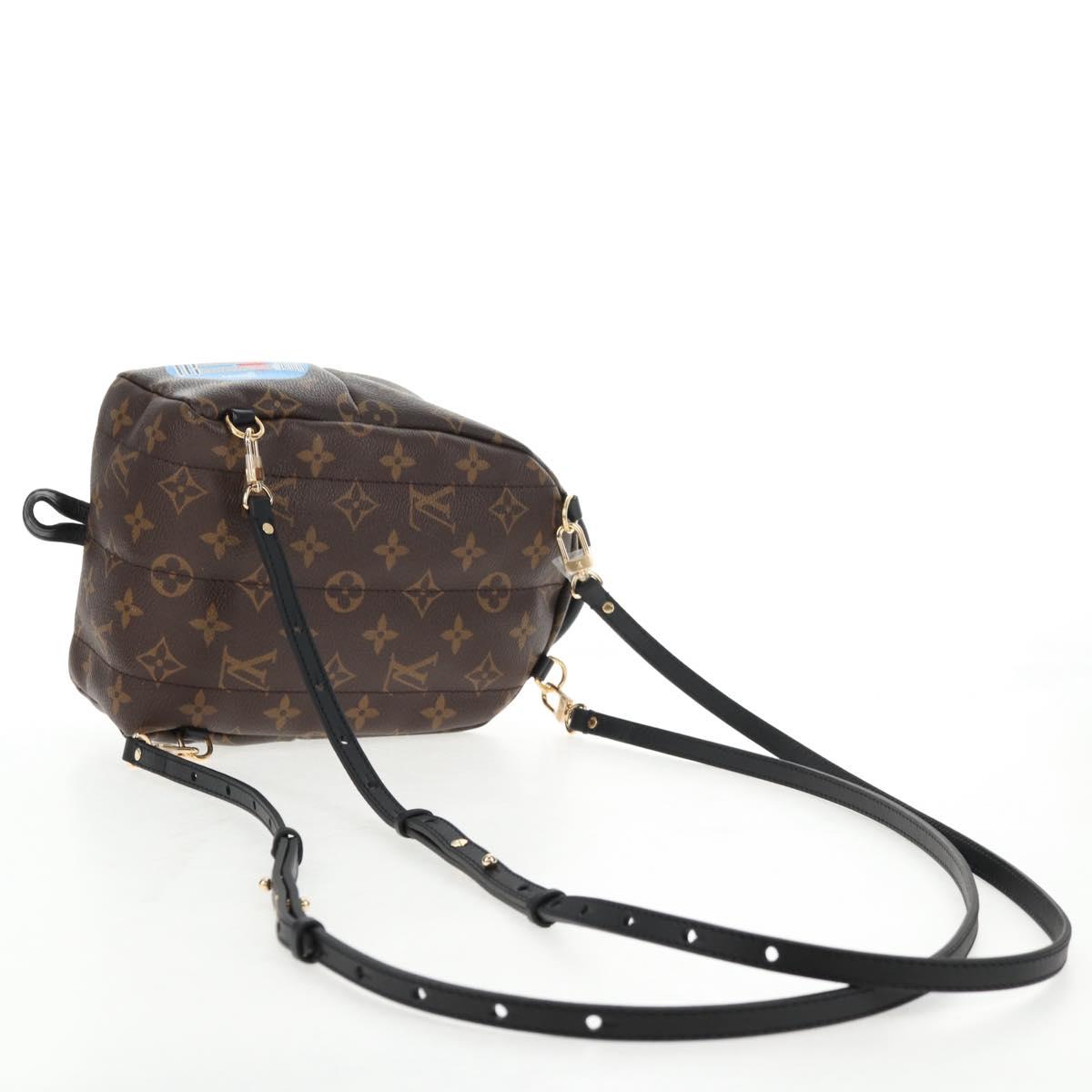 LOUIS VUITTON Monogram World Tour Palm Springs Shoulder Bag M42971 Auth 135119SAM