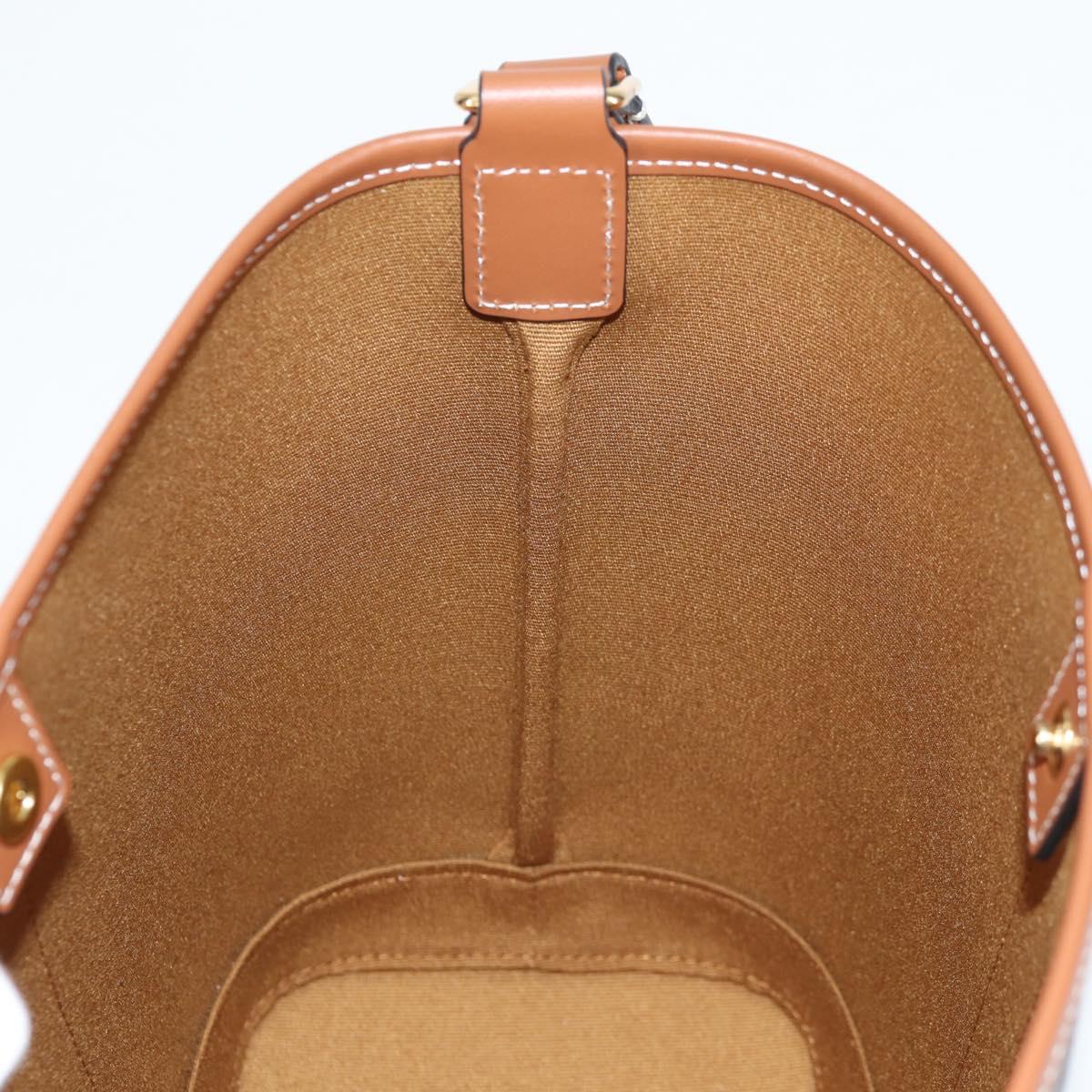 CELINE Triomphe Small Bucket Shoulder Bag PVC Leather Black Gold Auth 135273SM