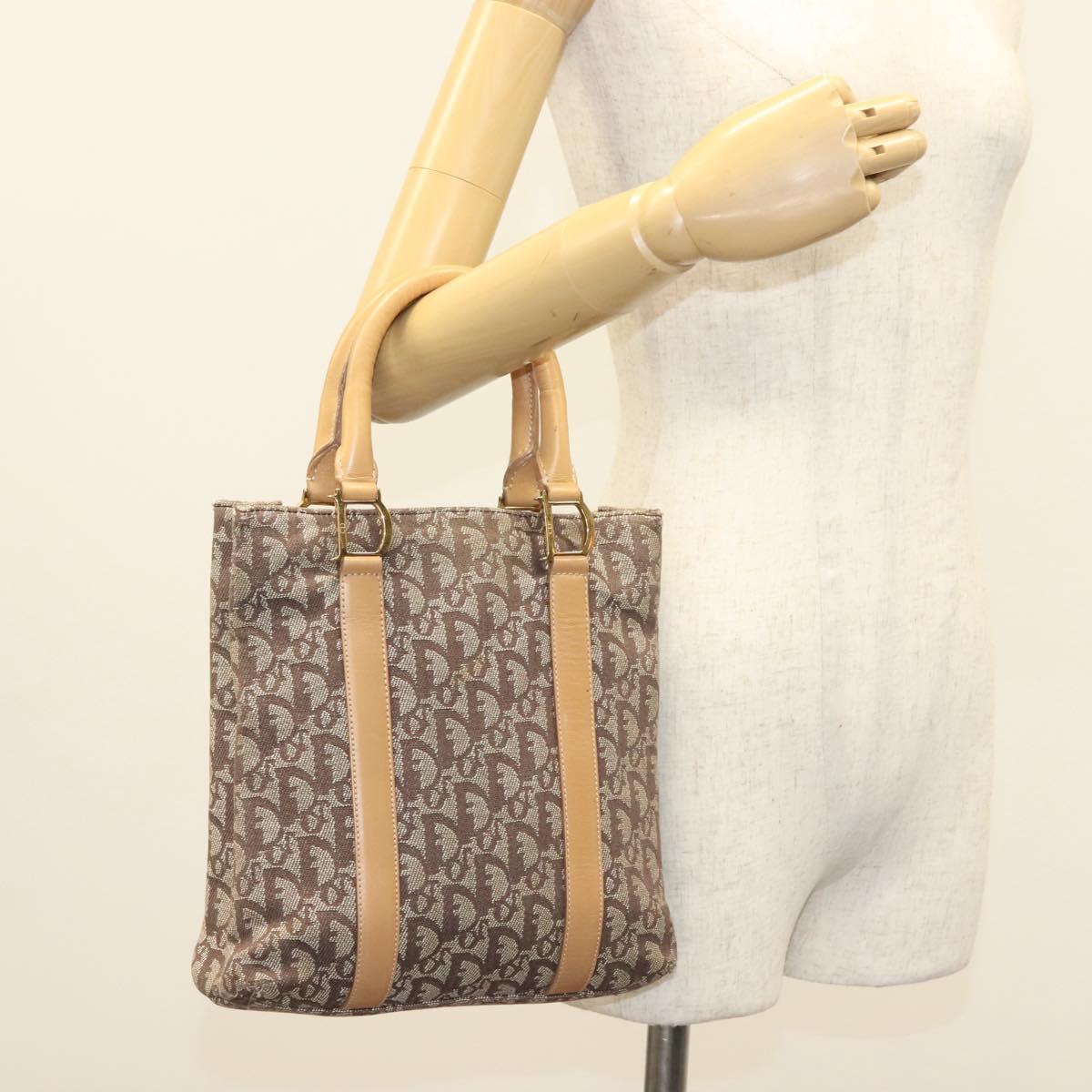 Christian Dior Trotter Canvas Hand Bag Brown Gold Auth 136188