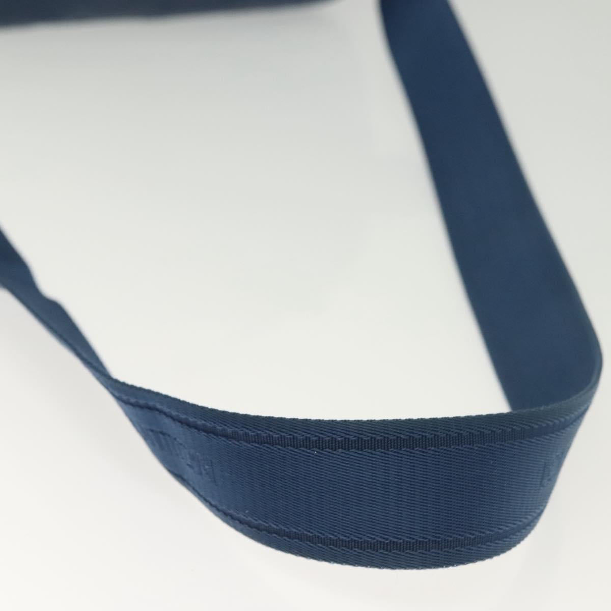 LOUIS VUITTON Damier Infini Ambreil Bag Leather Blue N41354 LV Auth 136610