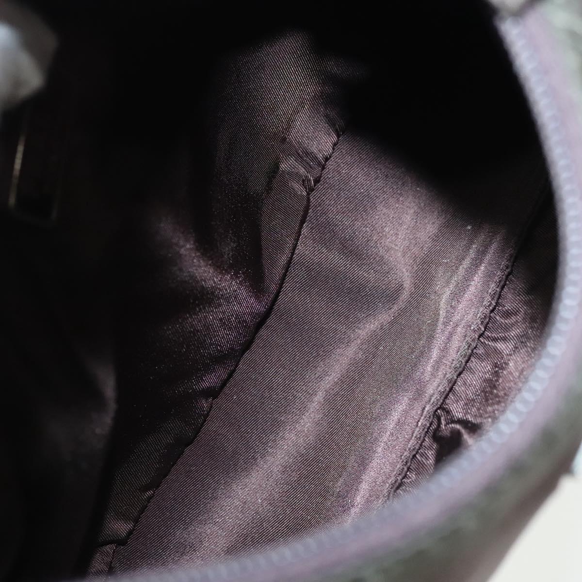 PRADA Hand Bag Nylon Brown Silver Auth 137449