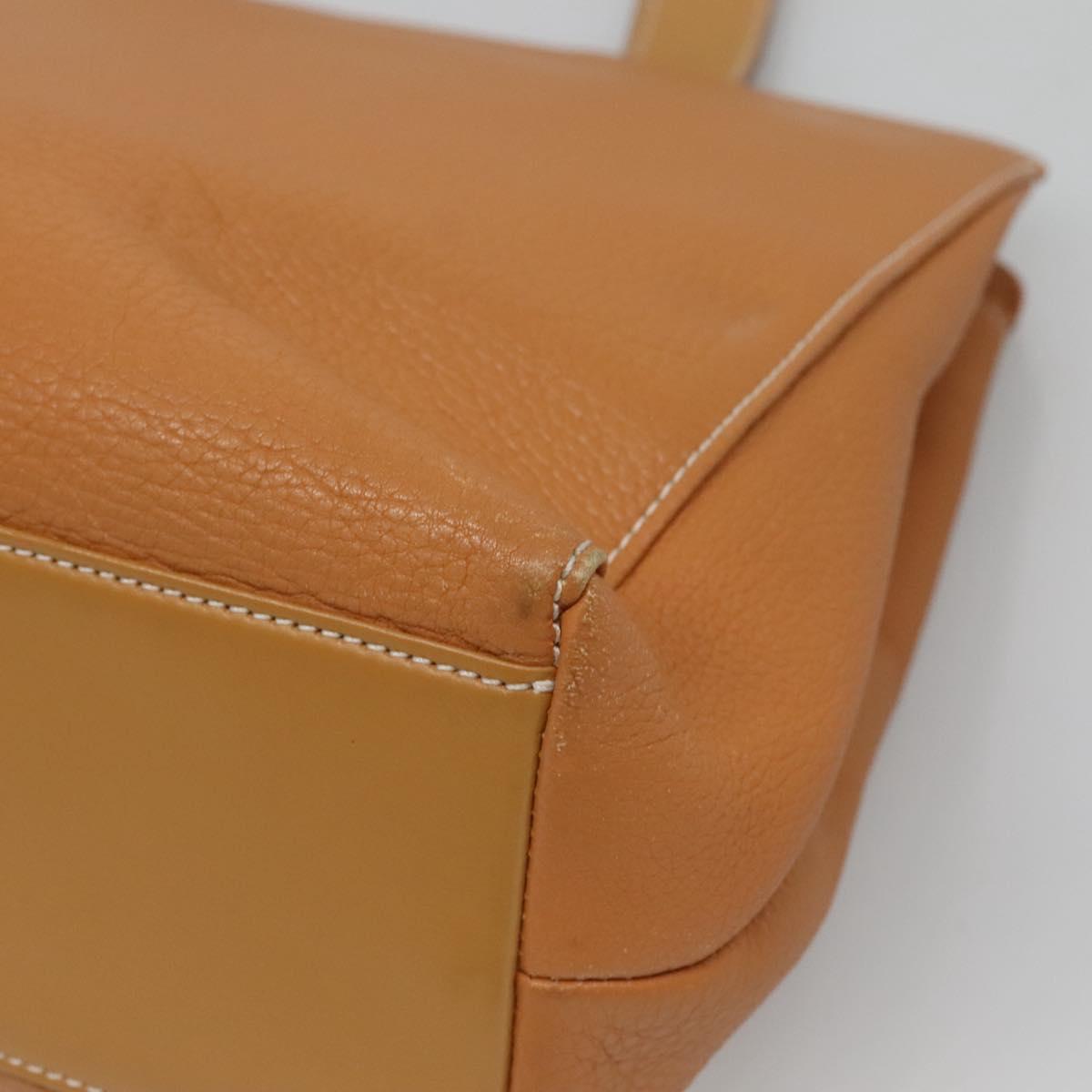Burberrys Tote Bag Leather Brown Gold Auth 138055