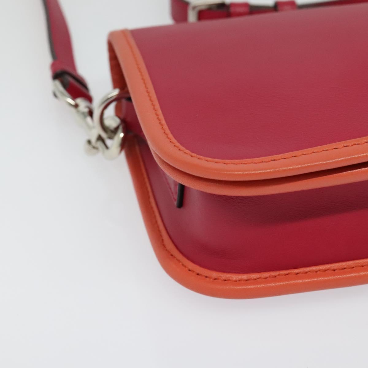 LOEWE Ines Shoulder Bag Leather Pink Silver Auth 138557