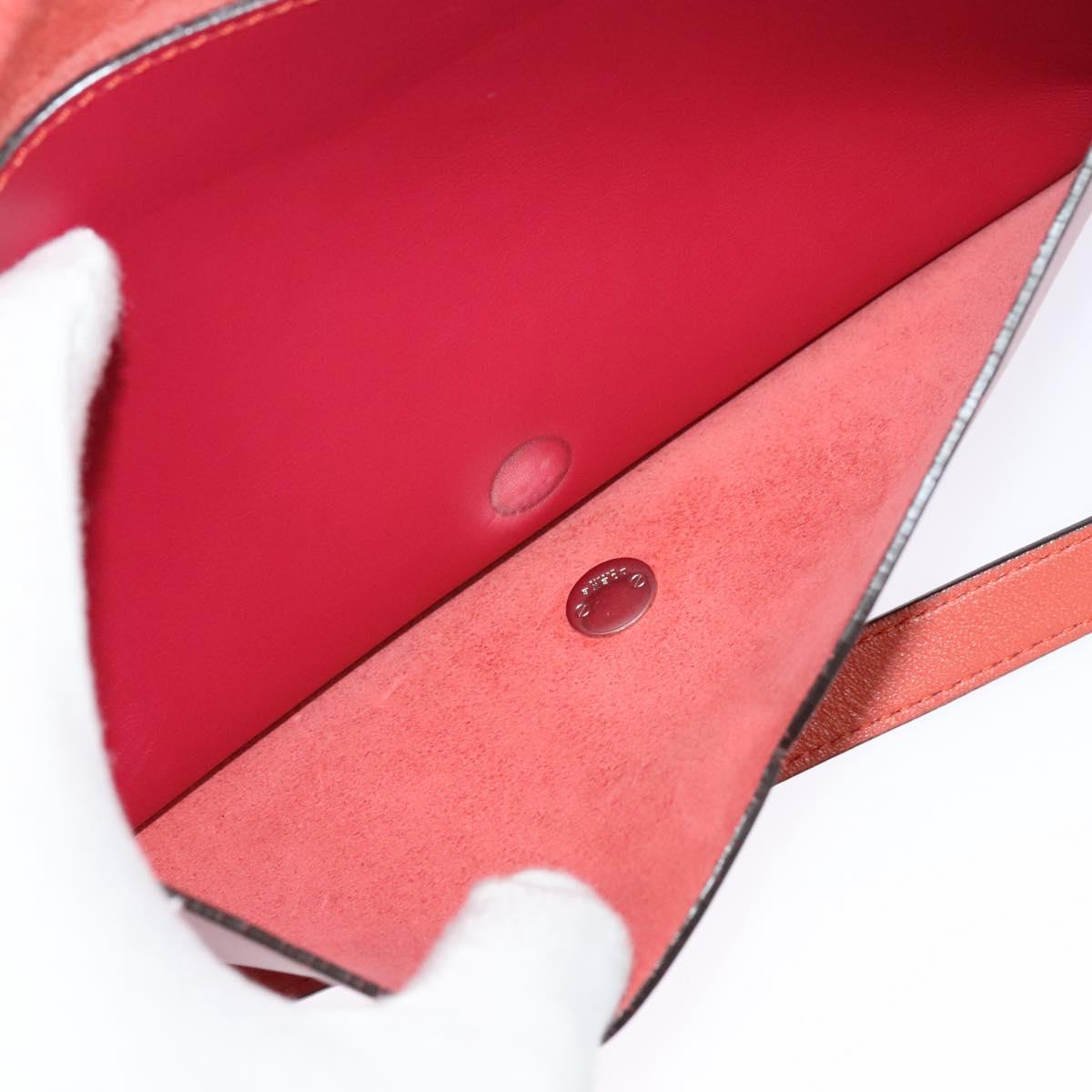 LOEWE Ines Shoulder Bag Leather Pink Silver Auth 138557