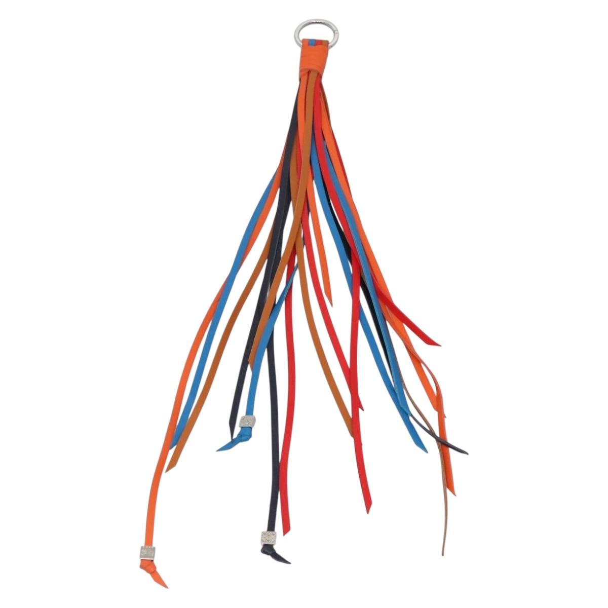 LOEWE Bag Charm Leather Multicolor Auth 138576