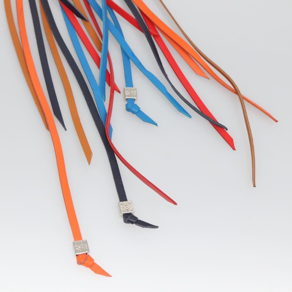 LOEWE Bag Charm Leather Multicolor Auth 138576