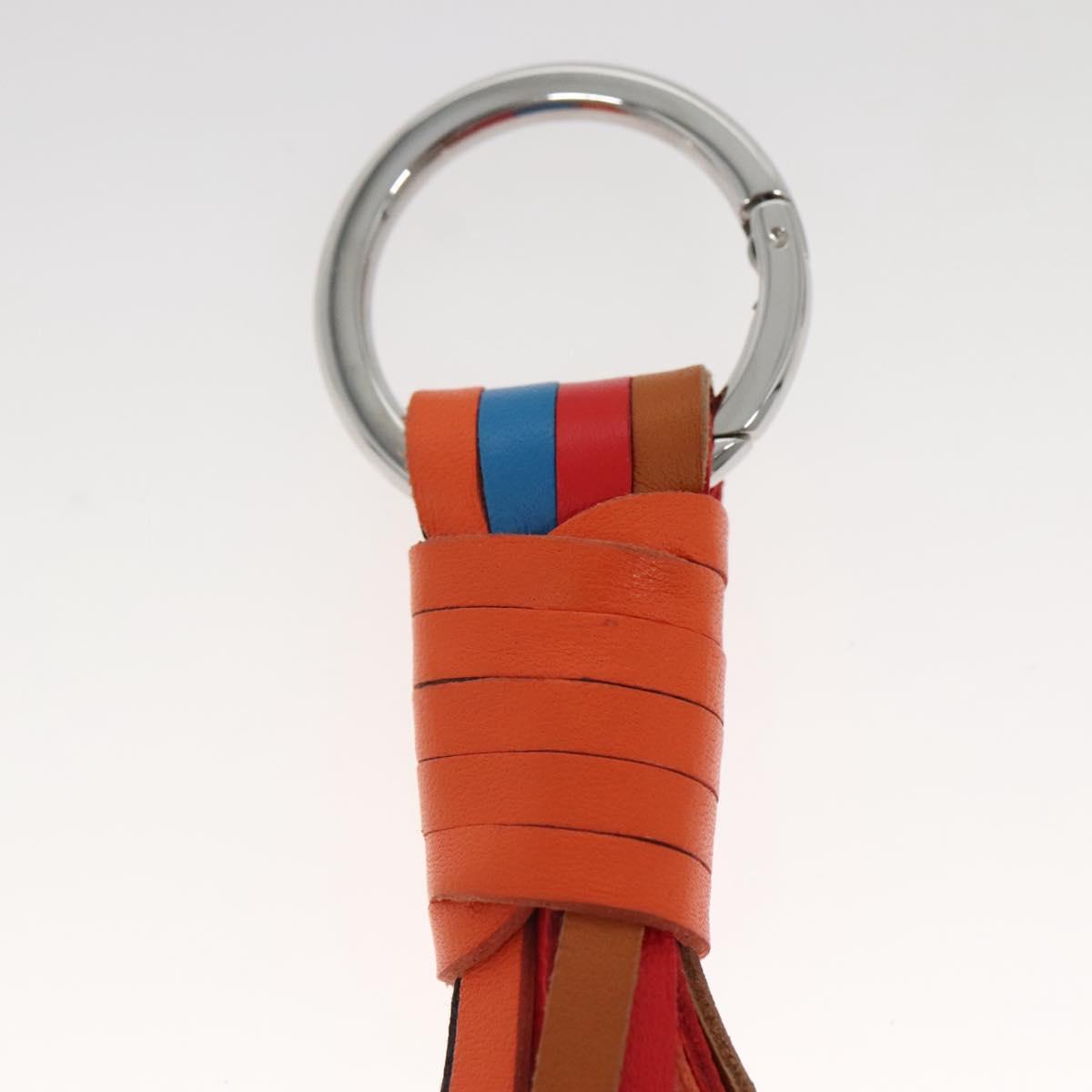 LOEWE Bag Charm Leather Multicolor Auth 138576