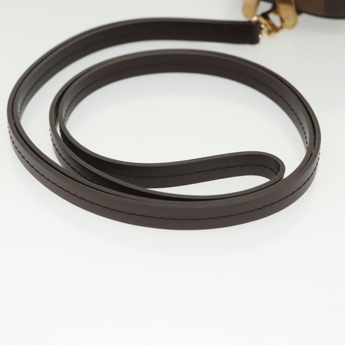 LOUIS VUITTON Damier Ebene Etui Okapi PM Pouch N61738 LV Auth 138757