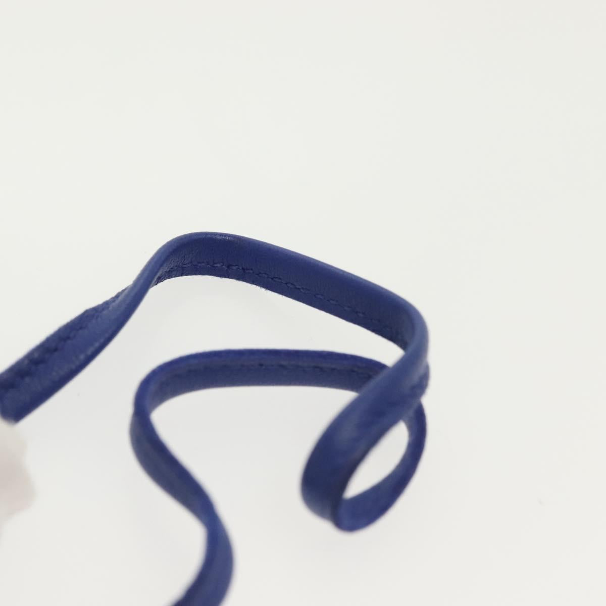 HERMES Rodeo Charm MM Leather Purple Auth 138880M