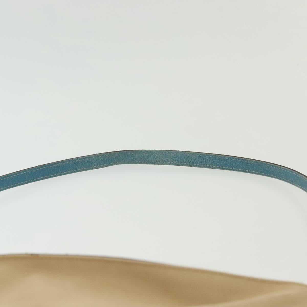 PRADA Shoulder Bag Canvas Beige Silver Auth 141428