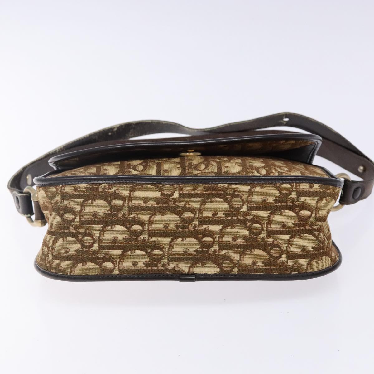 Christian Dior Trotter Canvas Shoulder Bag Brown Gold Auth 141500