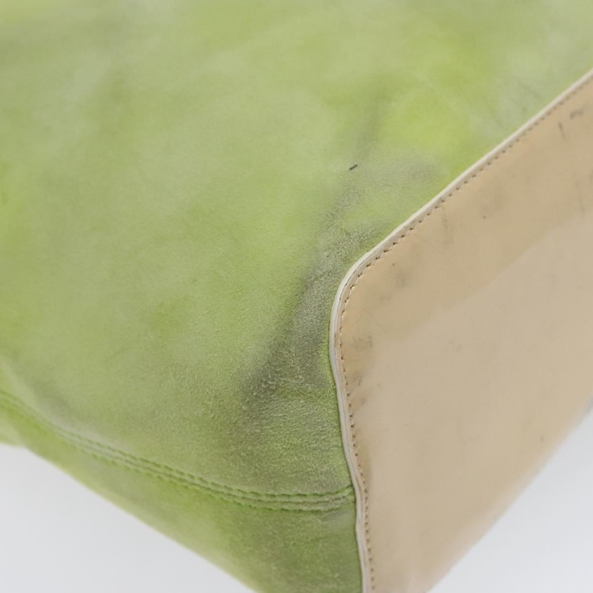 CELINE Hand Bag Suede Silver Light green Auth 141764