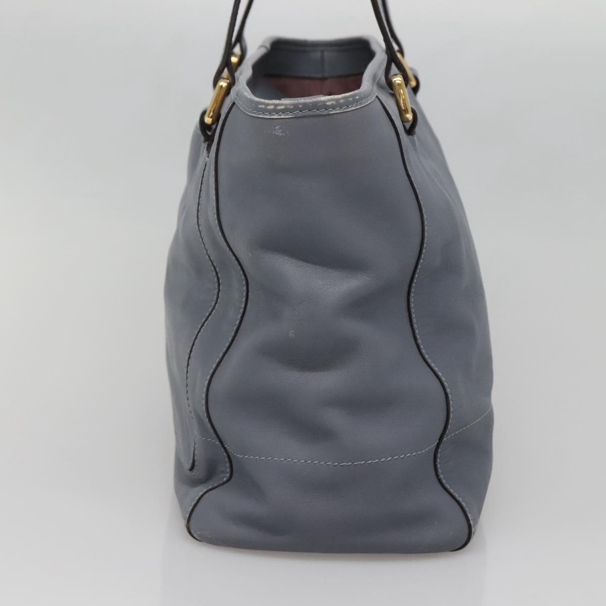 LOEWE Anagram Tote Bag Leather Purple Gold Auth 141948