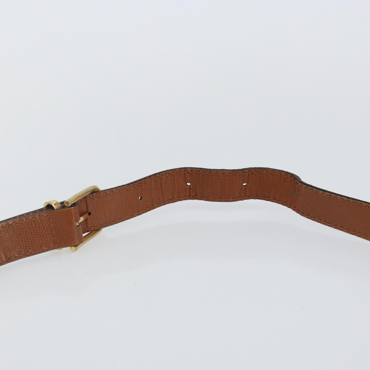 CELINE Shoulder Bag Leather Brown Gold Auth 142807
