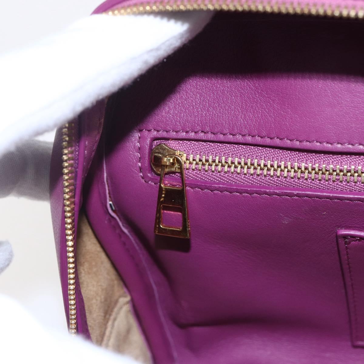 LOEWE Americana 28 Studio Ghibli Hand Bag Leather 2way Purple Auth 142978SAM