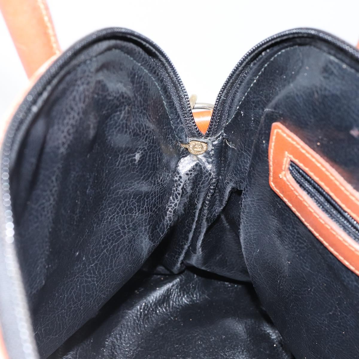 FENDI Pecan Canvas Hand Bag PVC 2way Black Brown Auth 144125