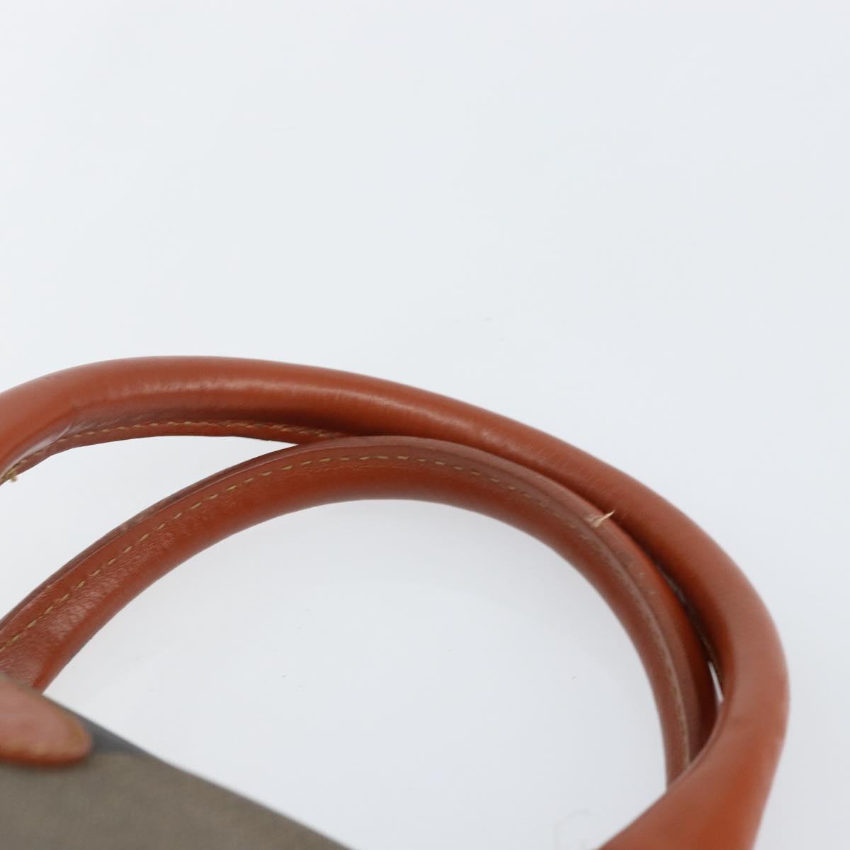 FENDI Pecan Canvas Hand Bag PVC Black Brown Auth 144247